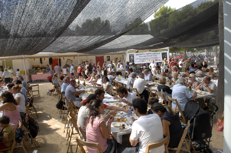 1913 263