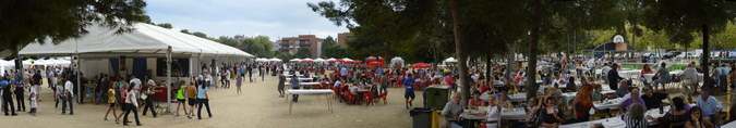 2276 450 PANO